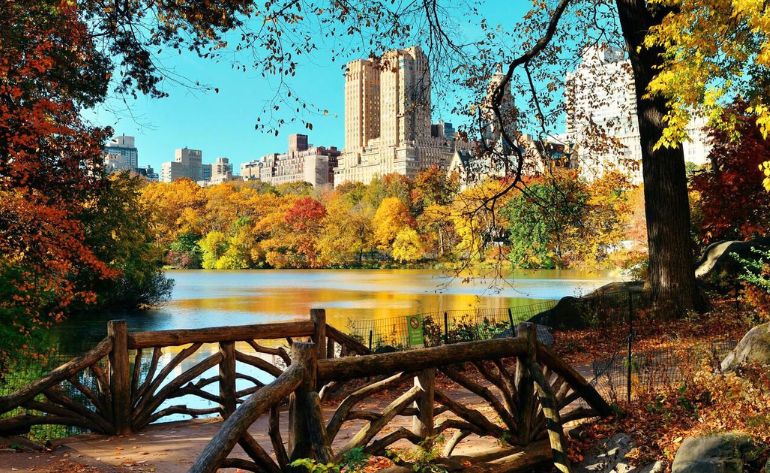 Guided Pedicab Tour, Central Park - 1 Hour