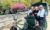 Guided Pedicab Tour, Central Park - 1 Hour