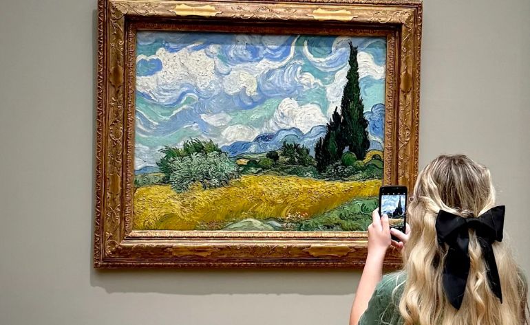 Metropolitan Museum Self-Guided Tour, NYC - 2 hours