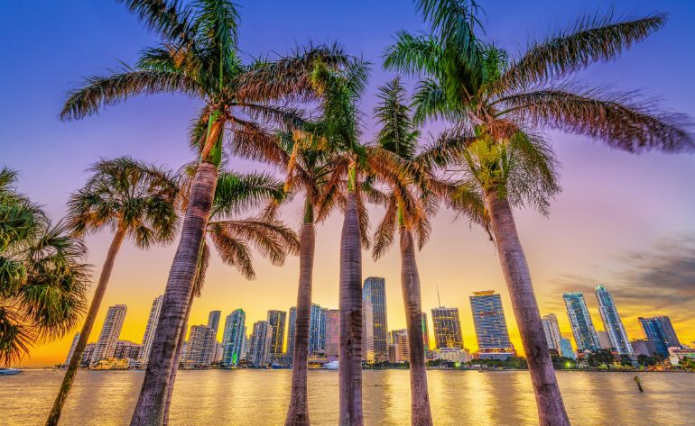 Sunset Cruise of Miami Skyline, Biscayne Bay, & Celebrity Homes - 75mins