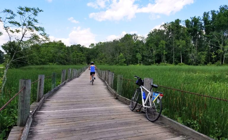 Mount Vernon Bike and Boat Tour, Alexandria - DayPASS
