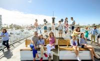 Winter Whale Watching Cruise, San Diego - 3.5 Hours