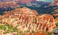 Private Plane Tour from Las Vegas to Bryce Canyon - 8 Hrs