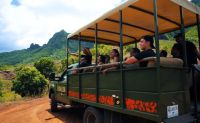 Oahu Jungle Expedition Tour, Kualoa Ranch - 90 Minutes
