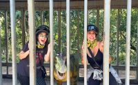 Oahu Jungle Expedition Tour, Kualoa Ranch - 90 Minutes