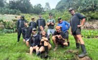 Oahu Kualoa Grown Tour, Kualoa Ranch - 90 Minutes