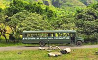 Oahu Kualoa Grown Tour, Kualoa Ranch - 90 Minutes