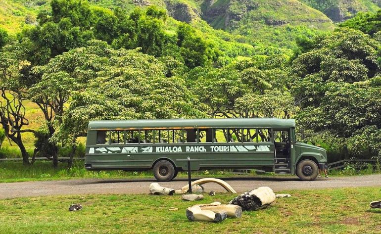 Oahu Kualoa Grown Tour, Kualoa Ranch - 90 Minutes