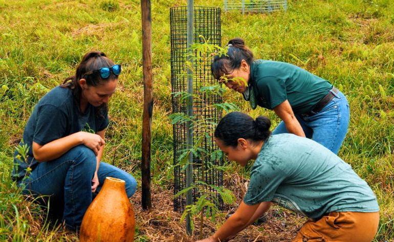 Oahu Kualoa Grown Tour, Kualoa Ranch - 90 Minutes