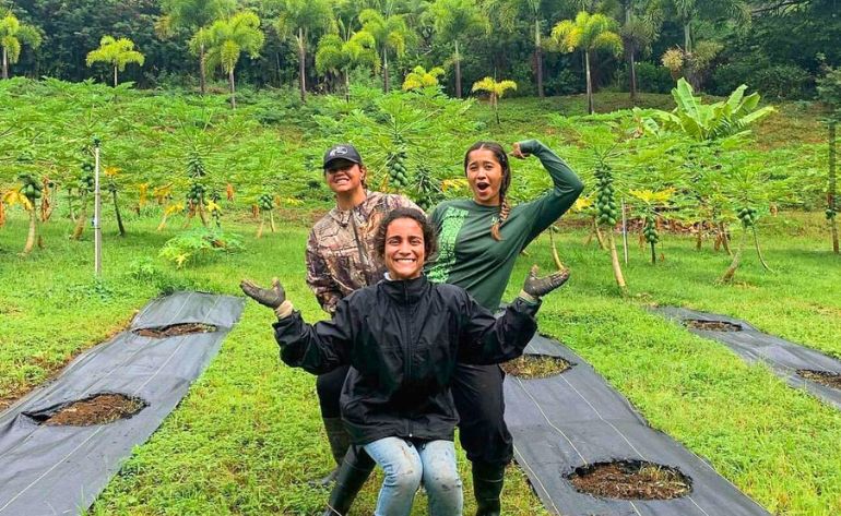 Oahu Kualoa Grown Tour, Kualoa Ranch - 90 Minutes