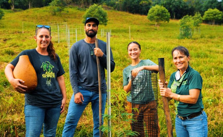 Oahu Kualoa Grown Tour, Kualoa Ranch - 90 Minutes