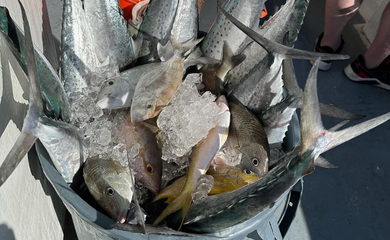 Party Boat Fishing Charter, Key West - 6 Hours