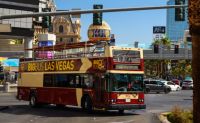 Open-Top Bus Tour Las Vegas - 24 Hours