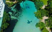 Seaplane Tour Harris Chain & River Run, Orlando - 35 minutes
