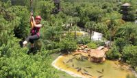 Ziplining Orlando, Gatorland - 2 Hours (Includes FREE Admission to Gatorland)