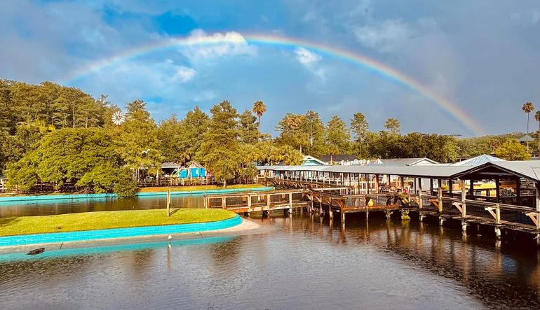 Ziplining Orlando, Gatorland - 2 Hours (Includes FREE Admission to Gatorland)