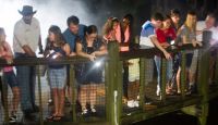 GatorNightShineGatorlandOrlando.webp