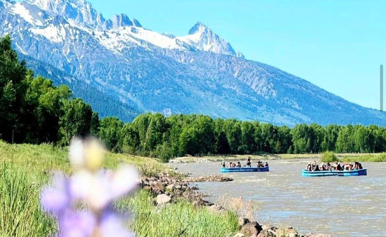 Whitewater Rafting Jackson Hole, 8 Mile Class III Adventure - 3 Hours