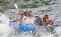 WhitewaterRaftingJacksonHole8mileadventureClassIIIAdventure.webp