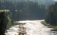 Whitewater Rafting Jackson Hole, 14 Mile Teton Float - 4 Hours