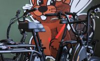E-Bike Rental, Jackson Hole - 2 Hours