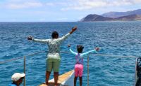 Snorkel and Cruise Adventure, Oahu - Morning Tour