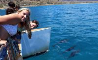 Snorkel and Cruise Adventure, Oahu - Morning Tour