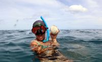 Snorkel and Cruise Adventure, Oahu - Afternoon Tour