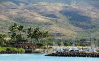 Snorkel and Cruise Adventure, Oahu - Afternoon Tour