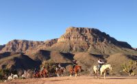 Grand Canyon Helicopter Tour with Western Ranch Landing - 5.5 Hours