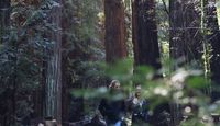 San Francisco Luxury Coach Tour Muir Woods Stroll