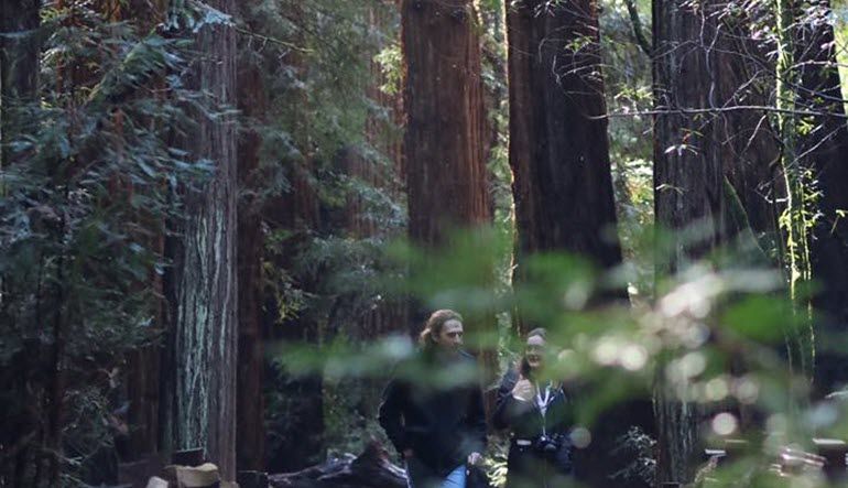San Francisco Luxury Coach Tour Muir Woods Stroll