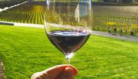 San Francisco Luxury Coach Tour Wine Country Wine Tasting Experience Vineyards