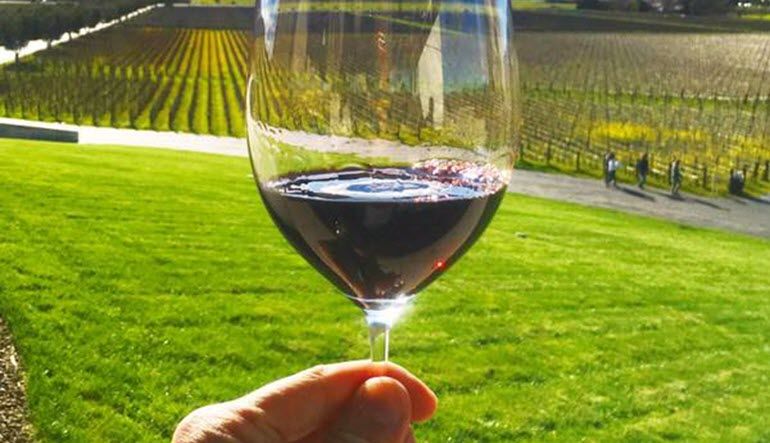San Francisco Luxury Coach Tour Wine Country Wine Tasting Experience Vineyards