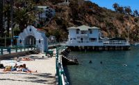 Scenic Tour Catalina Island and Mountains Tour, Avalon - 50 Mins