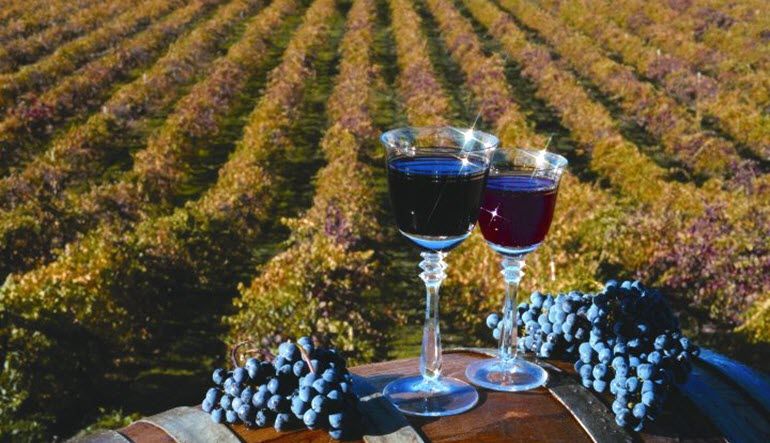 San Francisco Luxury Coach Tour Wine
