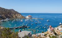CatalinaIslandCity.webp