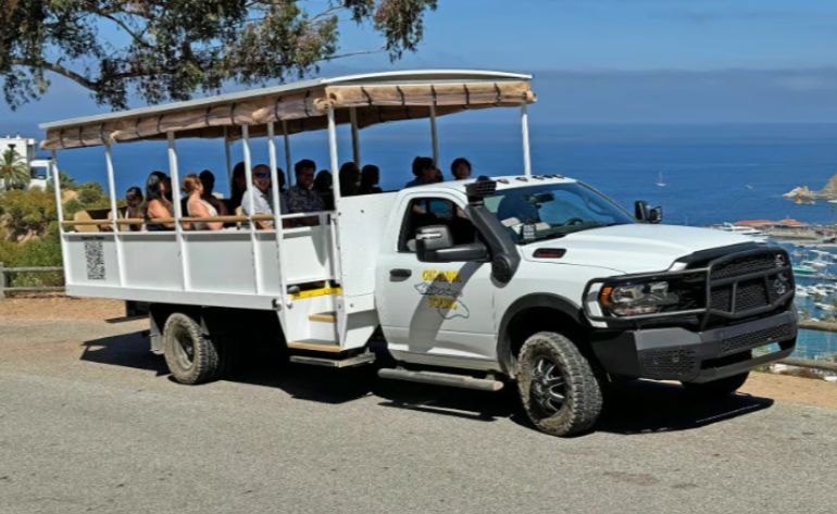 Scenic Tour Catalina Island and Mountains Tour, Avalon - 50 Mins
