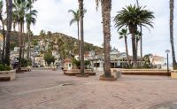 Scenic Tour Catalina Island and Mountains Tour, Avalon - 50 Mins