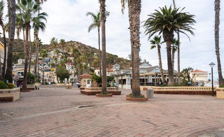 Scenic Tour Catalina Island and Mountains Tour, Avalon - 50 Mins
