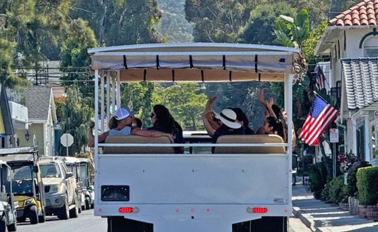 Scenic Tour Catalina Island and Mountains Tour, Avalon - 50 Mins