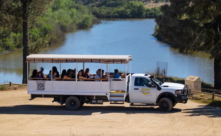 Catalina Adventure Tour, Avalon - 2 Hours
