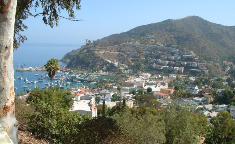 Catalina Adventure Tour, Avalon - 2 Hours