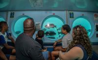 CatalinaIslandSubmarineTour45min-_2_.webp