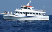 Sport Fishing Trip, Miami - 4 Hours