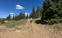 Guided Ebike Tour in East Orchard Wineries, Denver - 4 Hours