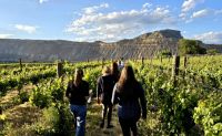 Guided Ebike Tour in East Orchard Wineries, Denver - 4 Hours