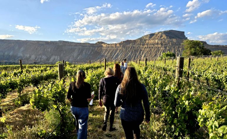 Guided Ebike Tour in East Orchard Wineries, Denver - 4 Hours
