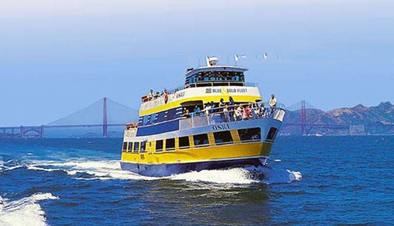 San Francisco Luxury Coach Tour, Muir Woods National Monument with Sausalito Ferry Return