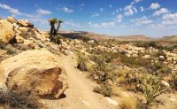 Off-road Desert Adventure in Las Vegas